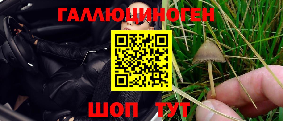 Карачаевск  Галлюциногенные грибы ЛСД  Вход с VPN 